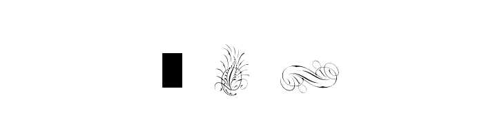 PenmanshipFeathers  Free Fonts Download