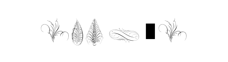 PenmanshipFeathers  Free Fonts Download