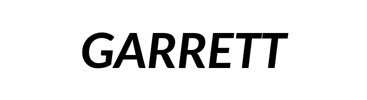 Carlito Bold Italic  Free Fonts Download