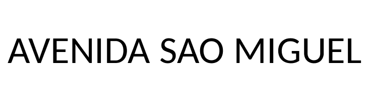 Carlito  Free Fonts Download