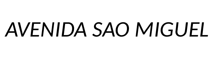 Carlito Italic  Free Fonts Download