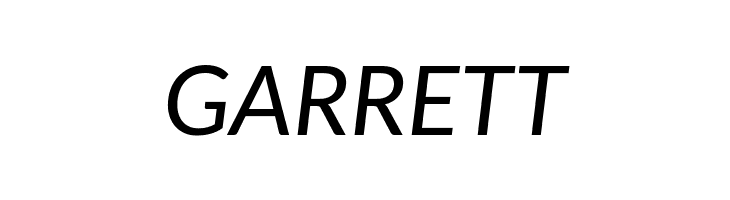 Carlito Italic  Free Fonts Download