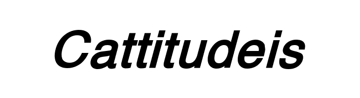 XM Traffic Bold Italic  Free Fonts Download