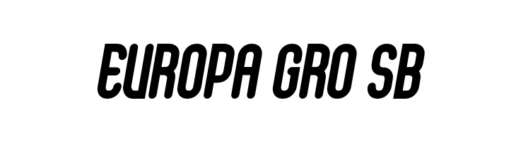 Cactron Bold Italic  Free Fonts Download