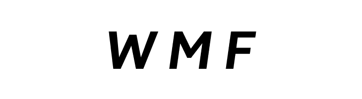 Brisa Sans Bold Italic  Free Fonts Download