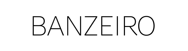 Brisa Sans Thin  Free Fonts Download