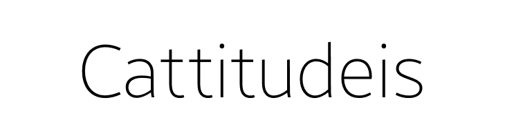 Brisa Sans Thin  Free Fonts Download