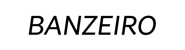 Brisa Sans Italic  Free Fonts Download