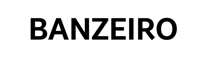 Brisa Sans Bold  Free Fonts Download