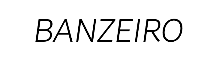 Brisa Sans Light Italic  Free Fonts Download