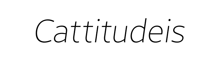 Brisa Sans Thin Italic  Free Fonts Download