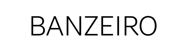 Brisa Sans Light  Free Fonts Download