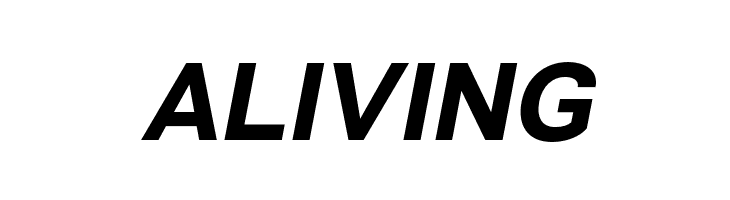 VremenaGroteskBoldItalic  Free Fonts Download