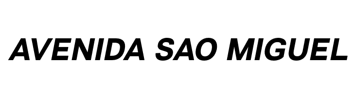 VremenaGroteskBoldItalic  Free Fonts Download