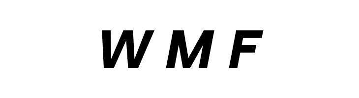 VremenaGroteskBoldItalic  Free Fonts Download