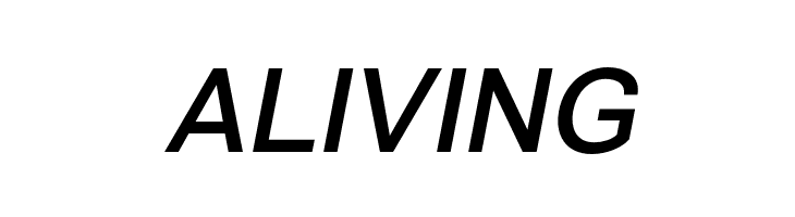 VremenaGroteskItalic  Free Fonts Download