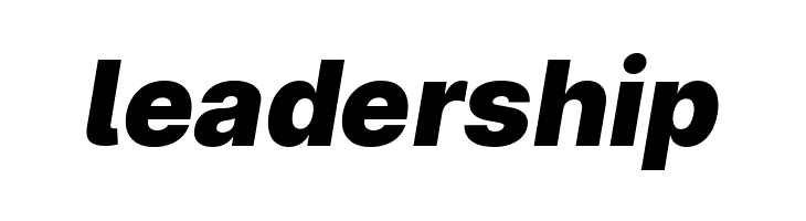 LinikSans-BlackItalic  Free Fonts Download