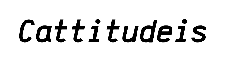 Anka/Coder Condensed Bold Italic  Free Fonts Download