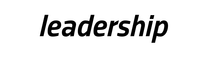 Storia Sans Bold Italic  Free Fonts Download