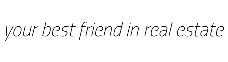 Storia Sans Thin Italic  Free Fonts Download