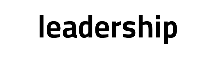 Storia Sans Bold  Free Fonts Download