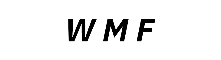 Aneliza ExtraBold Italic  Free Fonts Download