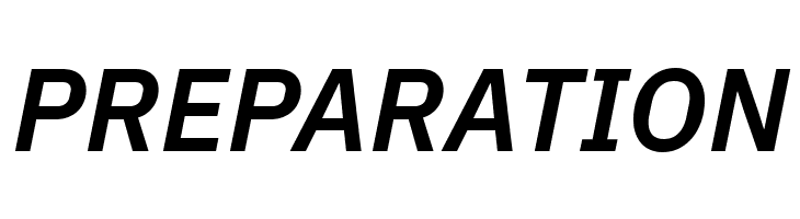 Aneliza Bold Italic  Free Fonts Download