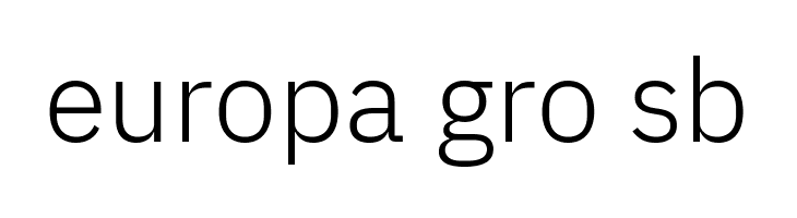 Aneliza Light  Free Fonts Download