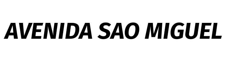 Trujillo Bold Italic  Free Fonts Download