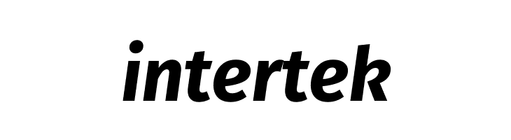 Trujillo Bold Italic  Free Fonts Download