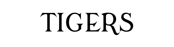 Modern Antiqua Book  Free Fonts Download