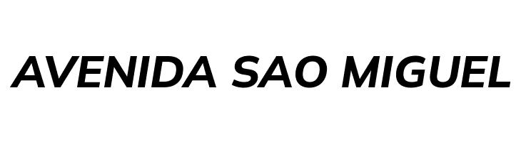 Winston Bold Italic  Free Fonts Download