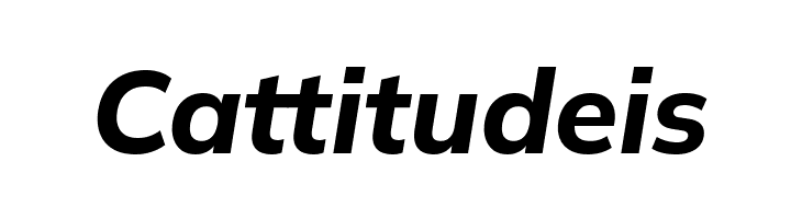 Winston Bold Italic  Free Fonts Download