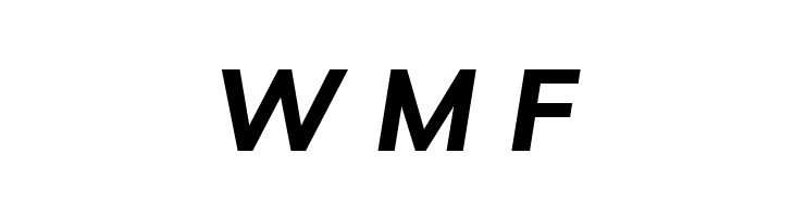 Winston Bold Italic  Free Fonts Download