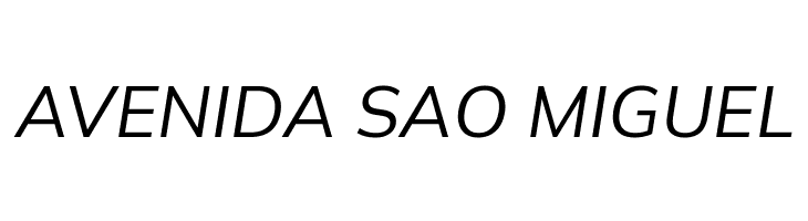 Winston Italic  Free Fonts Download