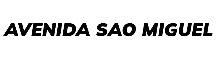 Winston Black Italic  Free Fonts Download