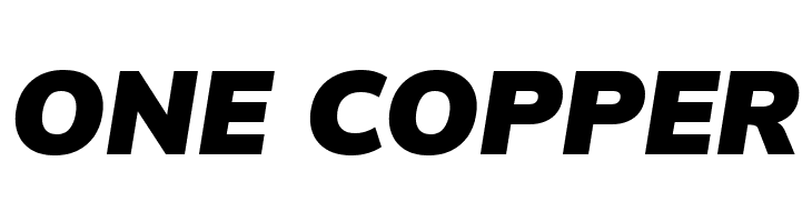 Winston Black Italic  Free Fonts Download