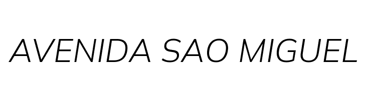 Winston Light Italic  Free Fonts Download