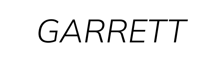 Winston Light Italic  Free Fonts Download