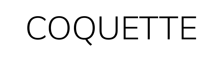 Winston Light  Free Fonts Download