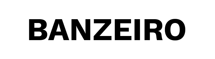 Elaine Sans Bold  Free Fonts Download