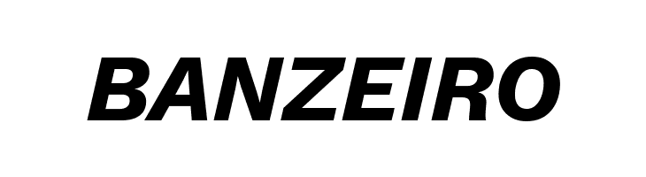 Elaine Sans Bold Italic  Free Fonts Download