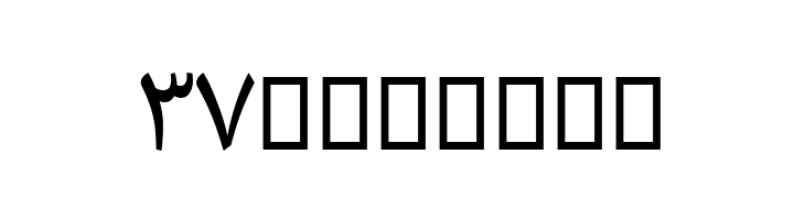 Droid Persian Naskh  Free Fonts Download