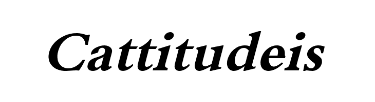 XB Tabriz Bold Italic  Free Fonts Download