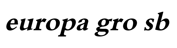 XB Tabriz Bold Italic  Free Fonts Download