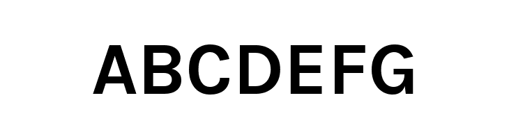 BetinaSans-Bold  Free Fonts Download