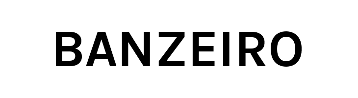 BetinaSans-Bold  Free Fonts Download