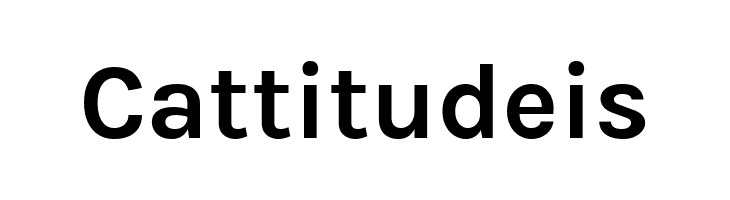 BetinaSans-Bold  Free Fonts Download