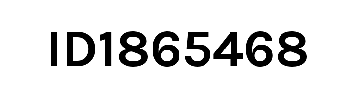 BetinaSans-Bold  Free Fonts Download