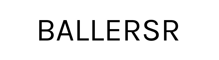 BetinaSans  Free Fonts Download